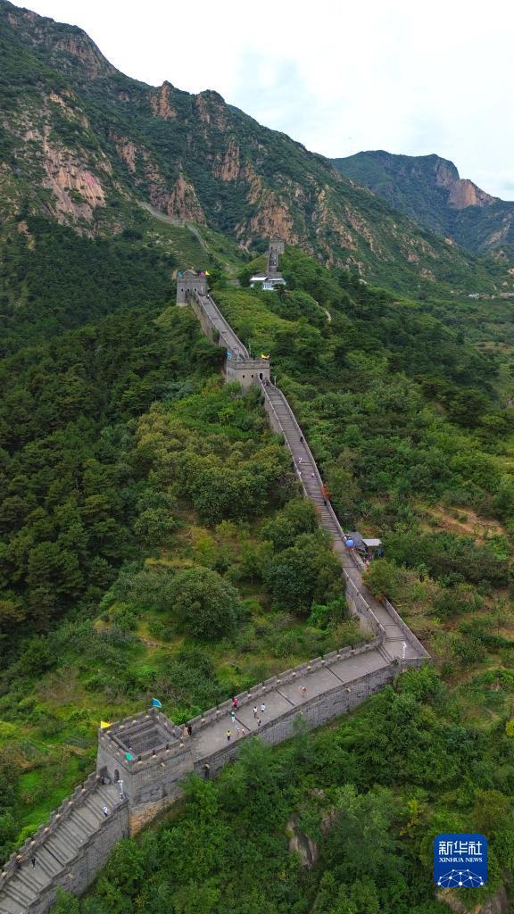 免费金花辅助神器
